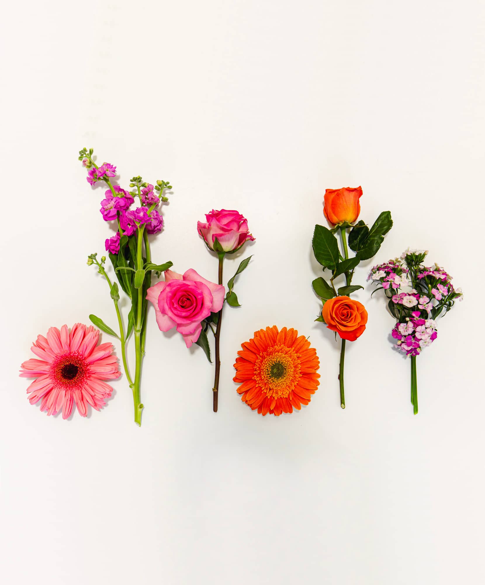 Cheerful pet-safe orange and pink flowers for the perfect special occasion bouquet.