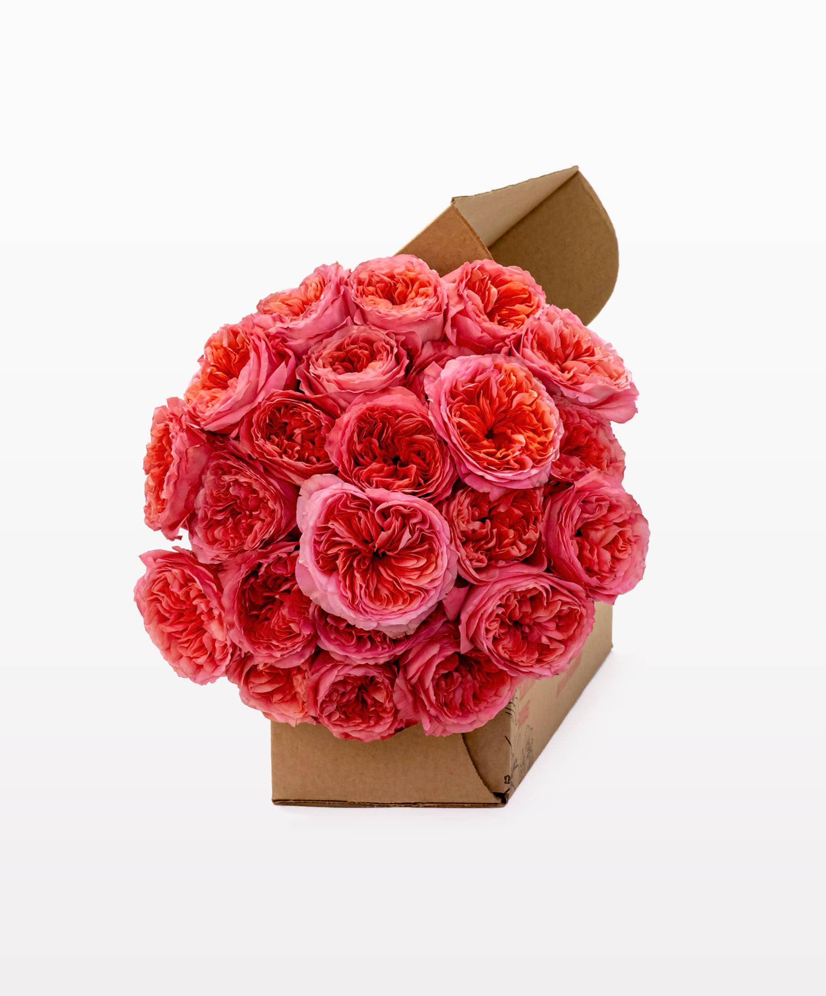 Vibrant pink rose bouquet in a chic box, perfect for gifting on special occasions.